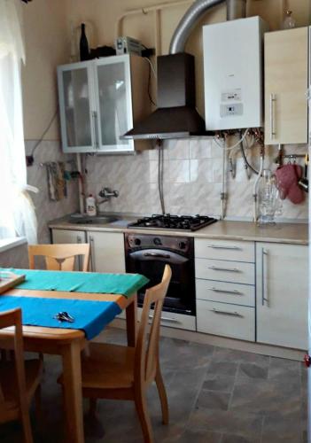 Apartment in the historical city center, Černovice (fotografie 10)