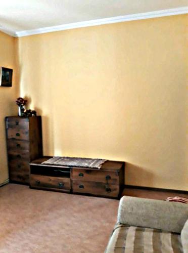 Apartment in the historical city center, Černovice (fotografie 3)