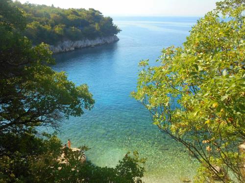  Studio Apartmani Matak in Kostrena