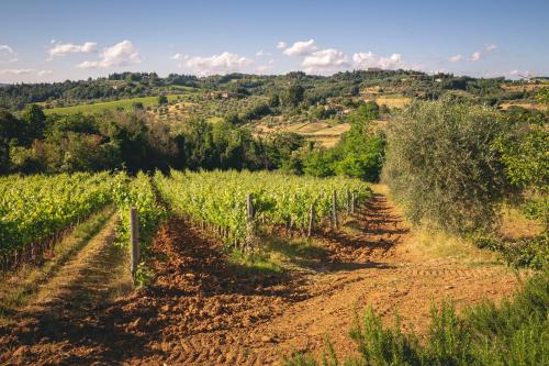 Agriturismo Borgo Villa Certano
