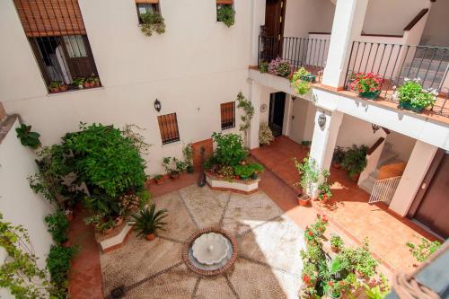 Apartamentos La Ribera Córdoba 4