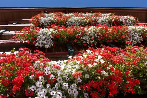 Hotel die Arlbergerin -New- all-in super flex rate