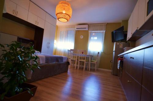 Studio Silva 2, Tirana (photo 3)