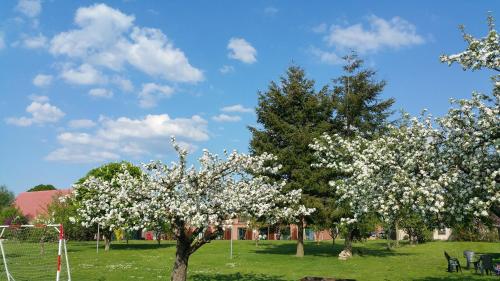 Landferienhof "Müritzufer" (Landferienhof "Muritzufer") in Ludorf