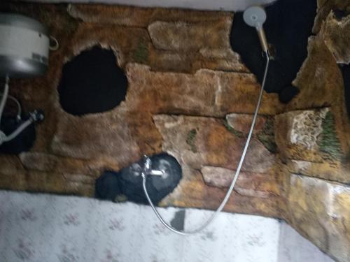 Villa Kayu I Gusti          Villa Kayu I Gusti