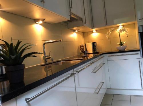 bucătărie, Breathtaking Waterfall Apartment in Lauterbrunnen