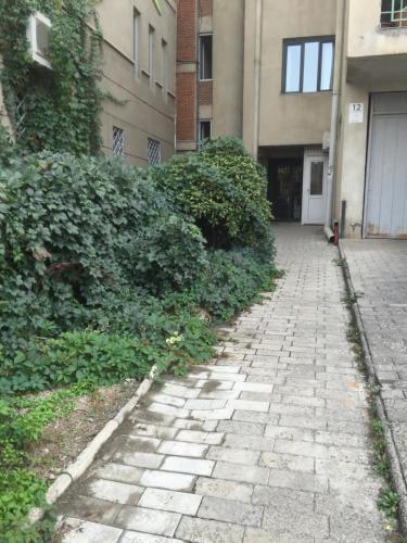 Aleqsandra, Tbilisi (zdjęcie 8)