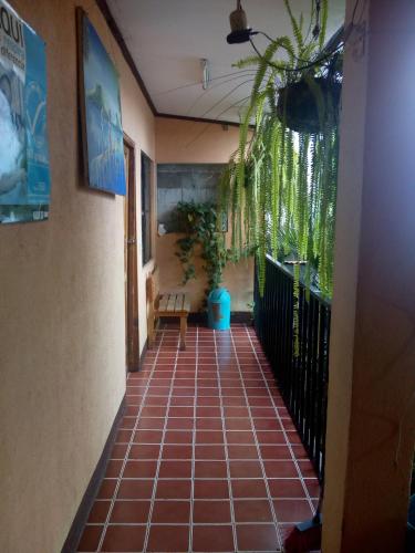 Hospedaje Eli Panajachel in Panajachel