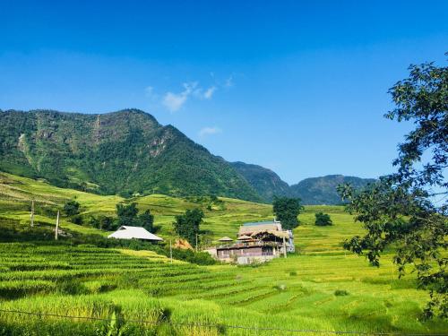 Hoa's homestay Sapa - 숙소 외관