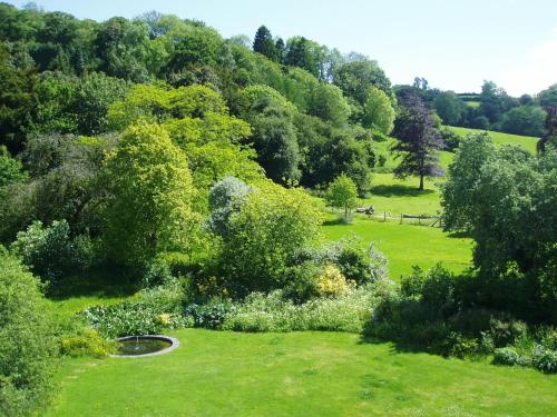 The Forest Country House B&B - image 3