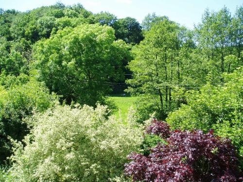 The Forest Country House B&B - image 4