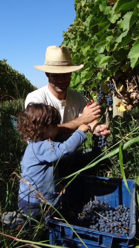 波萨达卡维尔斯葡萄酒农场酒店
