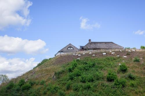 Het Montferland - main image