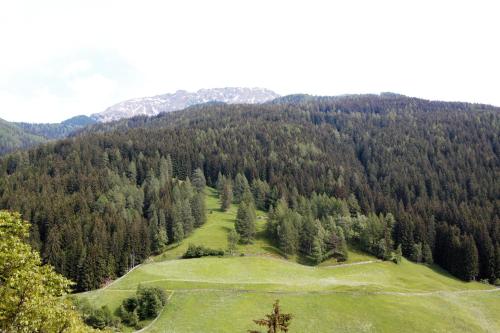 Schweinsteghof Urlaub auf dem Bauernhof