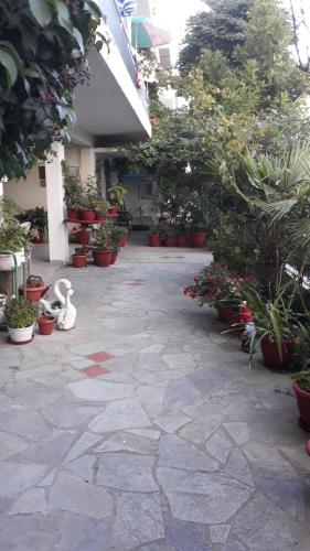 Aris House - image 12