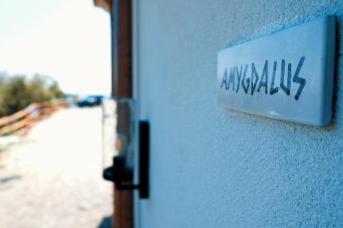Country House “ Il Mandorlo” – Acciaroli, UT