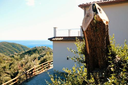 Country House “ Il Mandorlo”