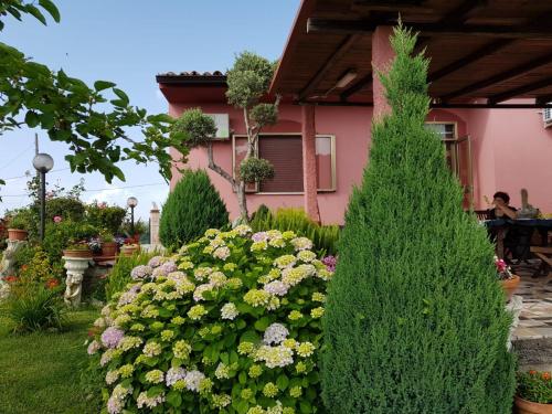B&B la Sirenetta 5
