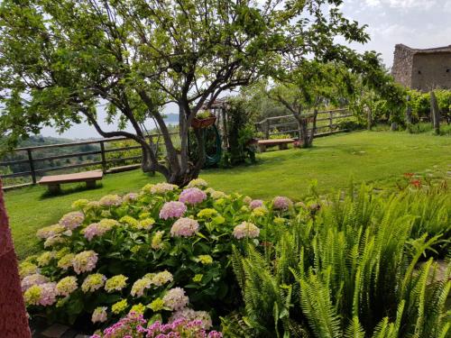  B&B la Sirenetta in Diamante