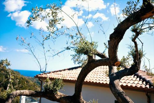 Country House “ Il Mandorlo” – Acciaroli, UT