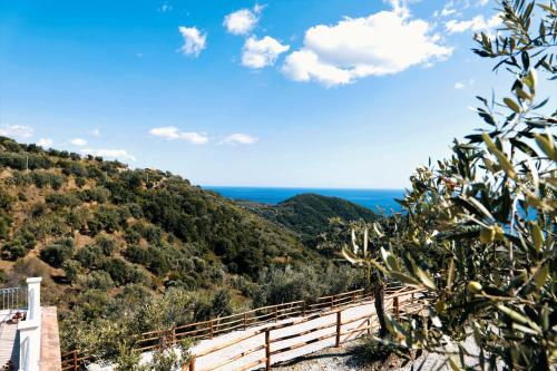 Country House “ Il Mandorlo” – Acciaroli, UT