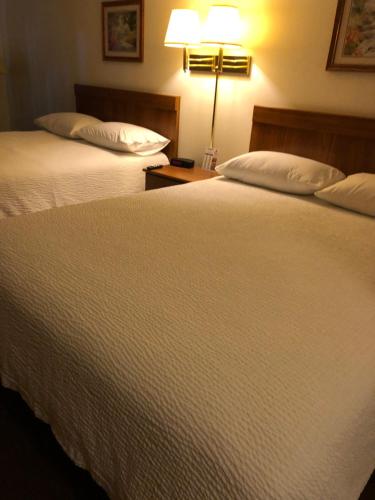 Coronado Motel & RV Park - image 3