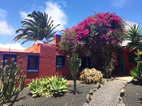 Casa Panama,in der Finca Mimosa 2