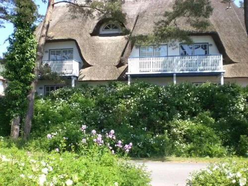 Achtern - Diek - am Strand in Zingst, Deutschland