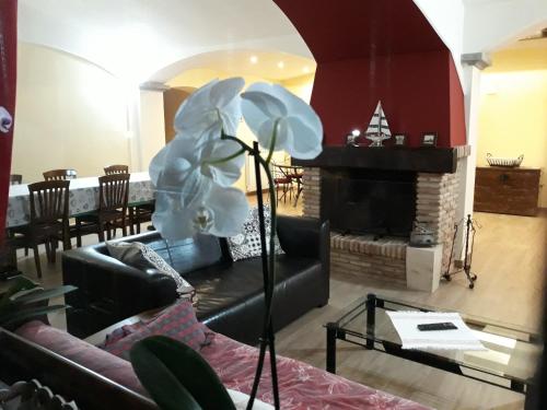 拉卡美莉亞住宿加早餐旅館 (La Camelia B&B) in 韋萊特里