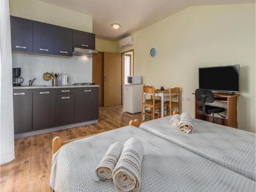  Studio Apartment in Povanja in Plovanija