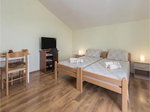  Studio Apartment in Povanja in Plovanija