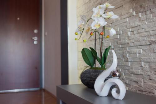 Apartman Aurelius - private parking - image 3