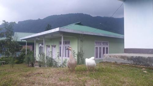 Lingzey Homestay - Bindu