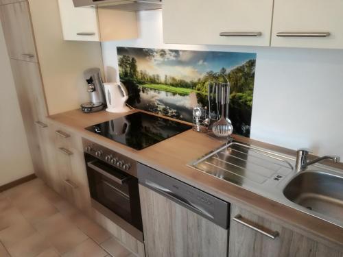 кухня, Appartement Ferienhaus Sonnenhain in Schönau An Der Triesting