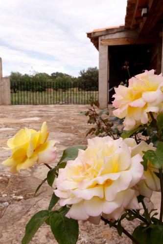 Casa Rural Mas de Sant Pau - Turistrat.