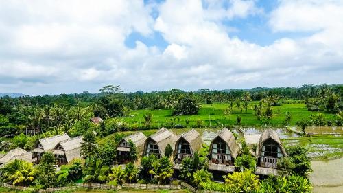 المنطقة المحيطة, دي كلومبو بالي إيكو ترادي ستاي (De Klumpu Bali Eco Tradi Stay) in بانجلي