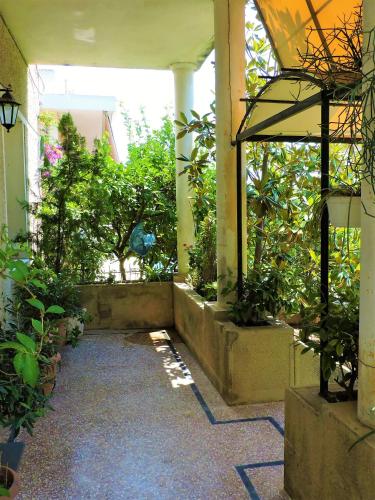 Casa Oliver, Atény (fotografie 9)