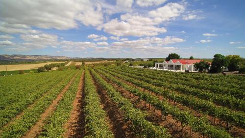 B&B Lyndoch - 1837 Barossa Luxury Vineyard Cottages - Bed and Breakfast Lyndoch