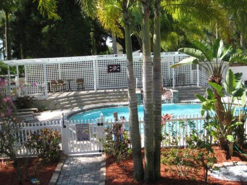 Swimming pool, Pirates Pointe Resort in Ruskin (FL)