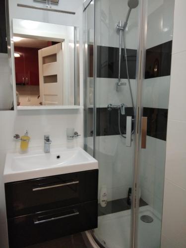CHERRY APARTAMENT W ŚCISŁYM CENTRUM, Varšava (fotografie 10)