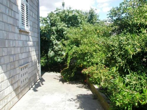 Apartment Pavo - image 10