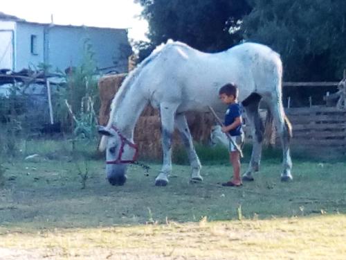  Aktiofarm in Néa Kamarína