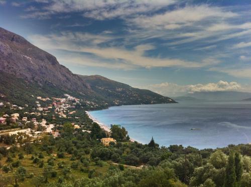 Nautilus Barbati - image 7