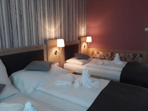 Hotel Rozvoj - image 6