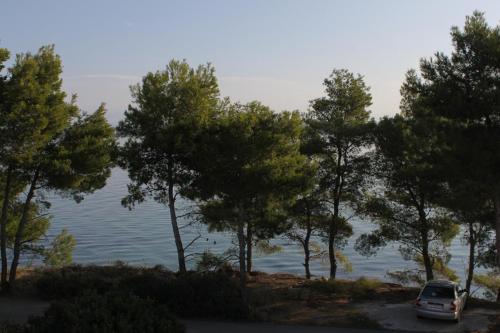 Apartments by the sea Tkon Pasman - 8454 - image 7