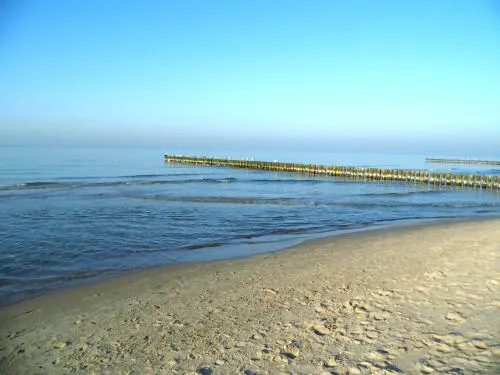 Zur Fledermaus in Graal-Müritz, Schweiz