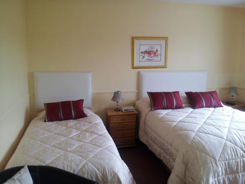 Tir Na Nog B&B - image 2