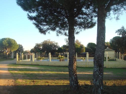 Úszómedence, San Jose in Marmolejo