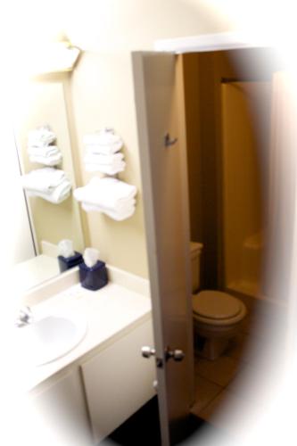 Holland Inn and Suites - image 10