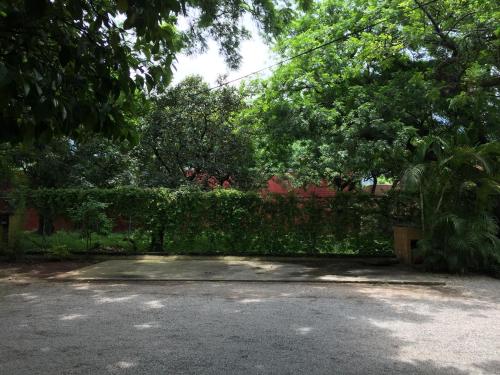 Tubohotel in Tepoztlán, Mexico